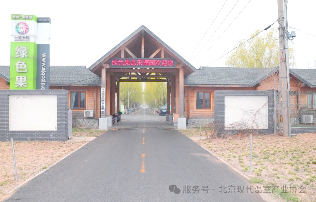 2025年京津冀鲜食番茄&黄瓜擂台赛获奖单位调研丨北京四季青农业科技集团有限公司